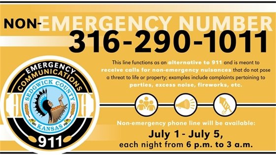 Non-emergency number to use for parties, excess noise, fireworks is 316-290-1011.