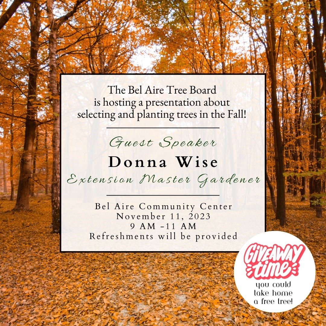 Tree Board Event 2023.11.11